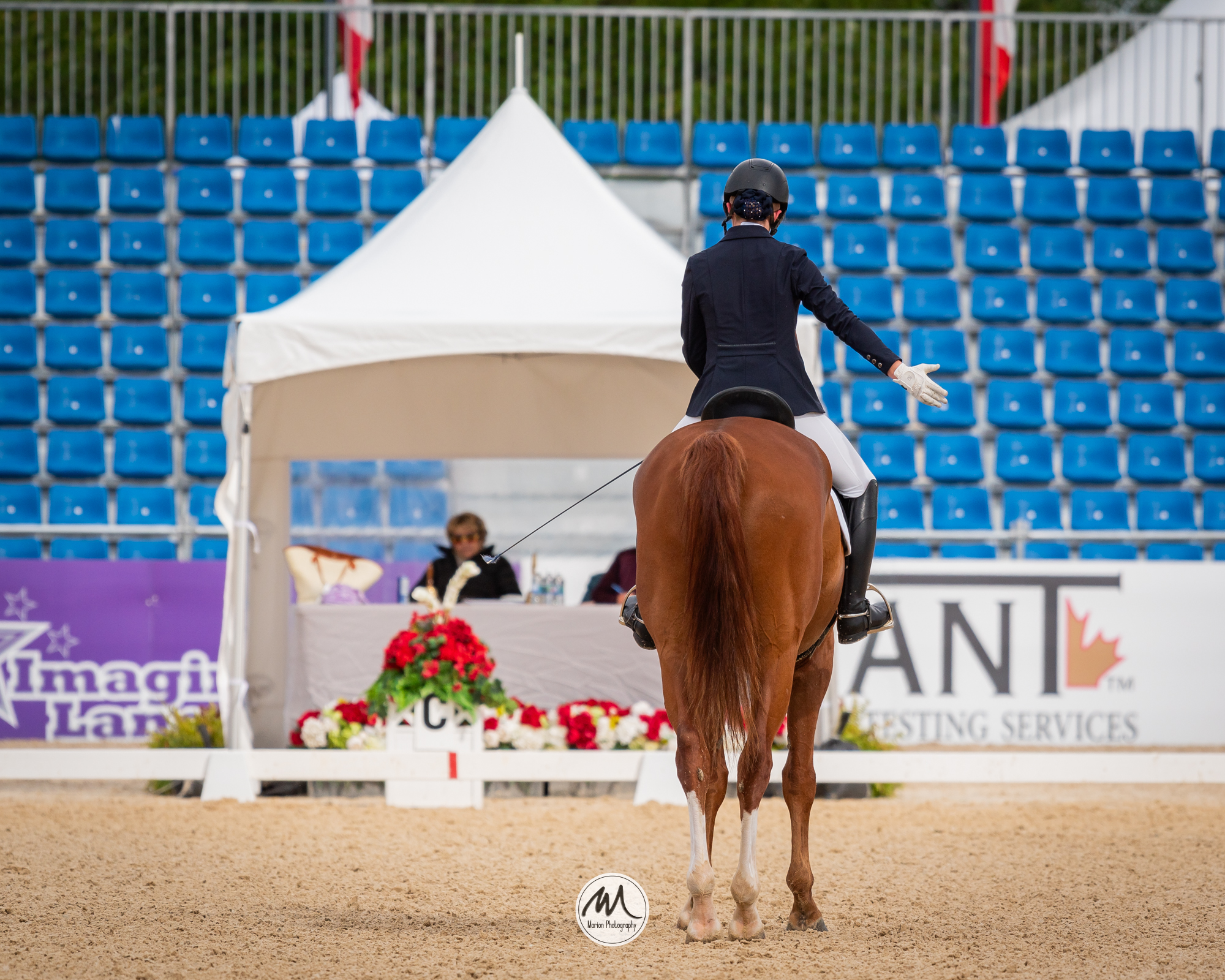 Postponed: Dance in the Vineyard Dressage Festival | 2025 | webDSC_3444.jpg