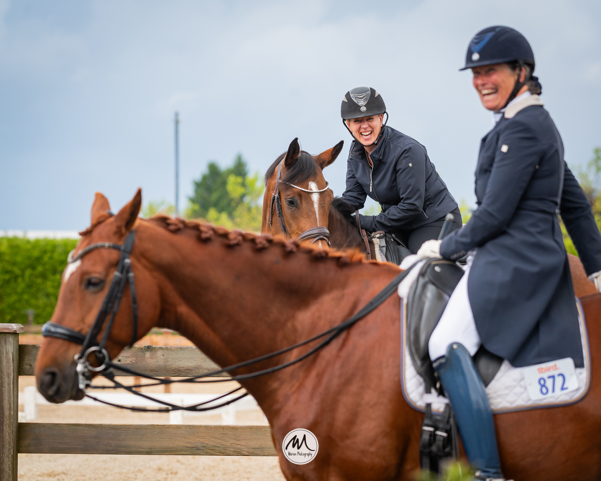 Postponed: Dance in the Vineyard Dressage Festival | 2025 | webDSC_2632.jpg