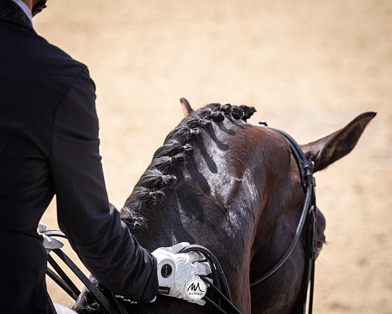 Postponed: Dance in the Vineyard Dressage Festival | 2025