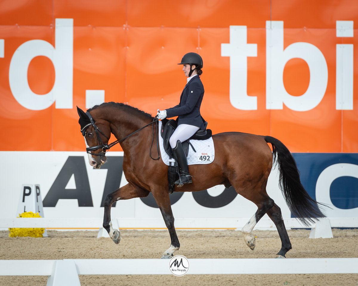 Postponed: Dance in the Vineyard Dressage Festival | 2025 | webDSC_0372.jpg