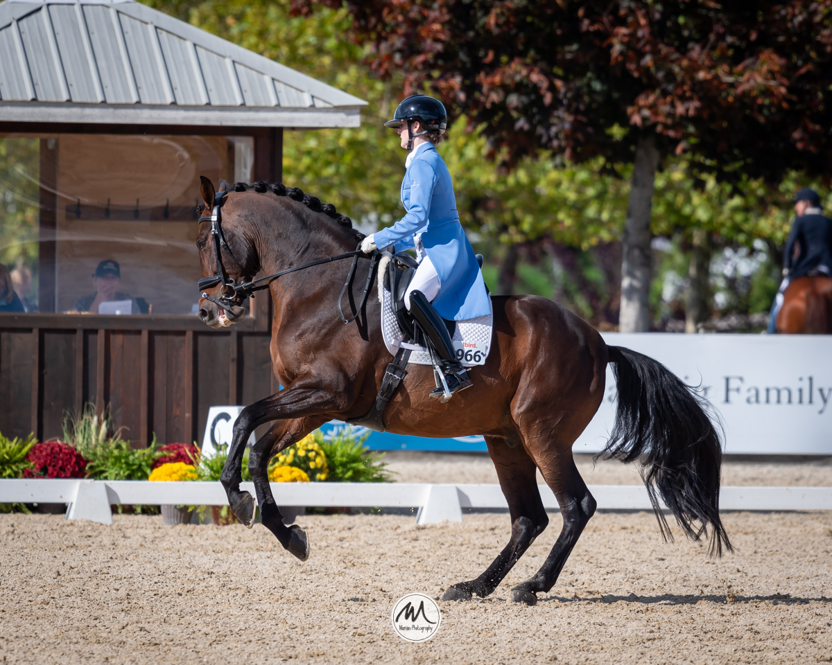 Postponed: Dance in the Vineyard Dressage Festival | 2025 | webDSC_1726.jpg