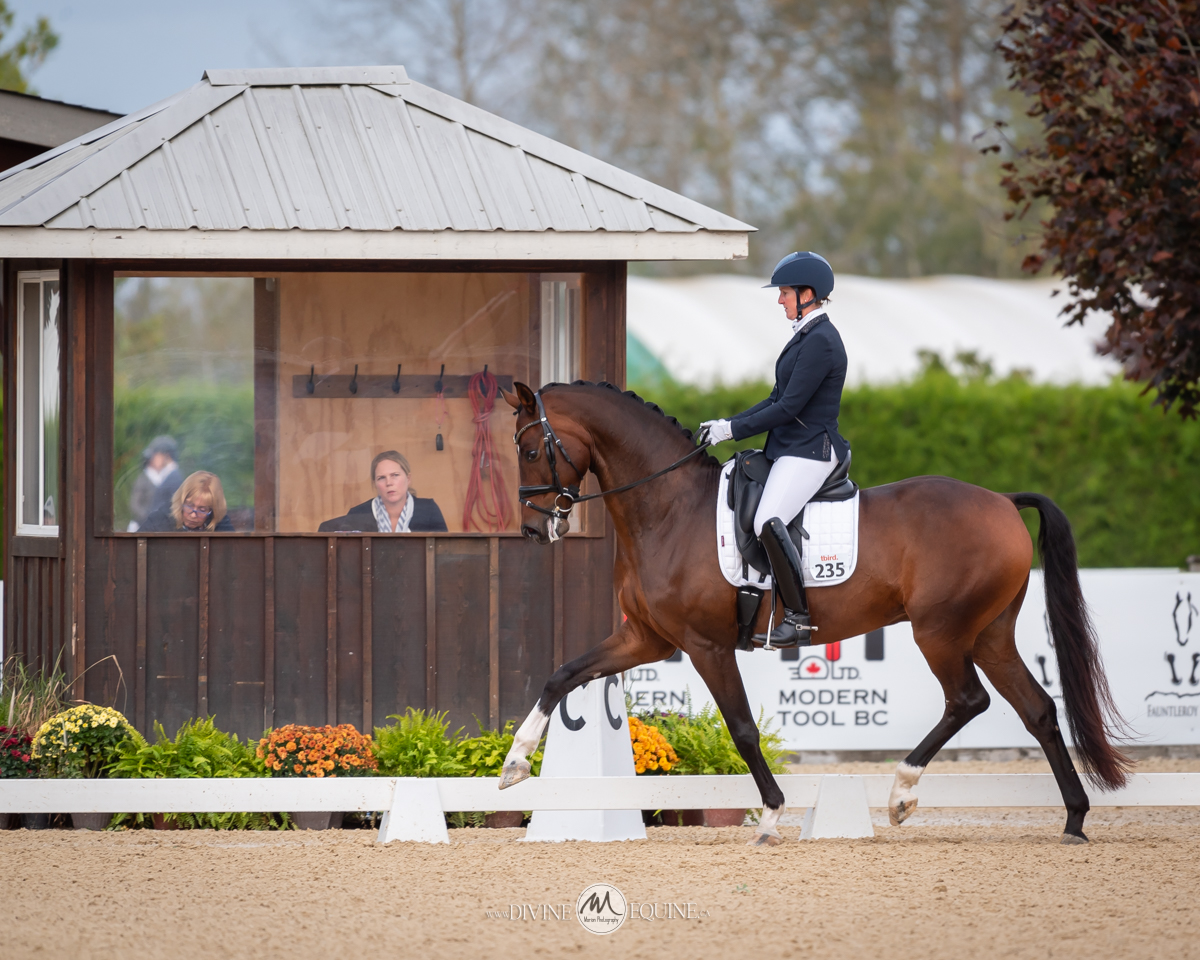Postponed: Dance in the Vineyard Dressage Festival | 2025 | webDSC_9217.jpg