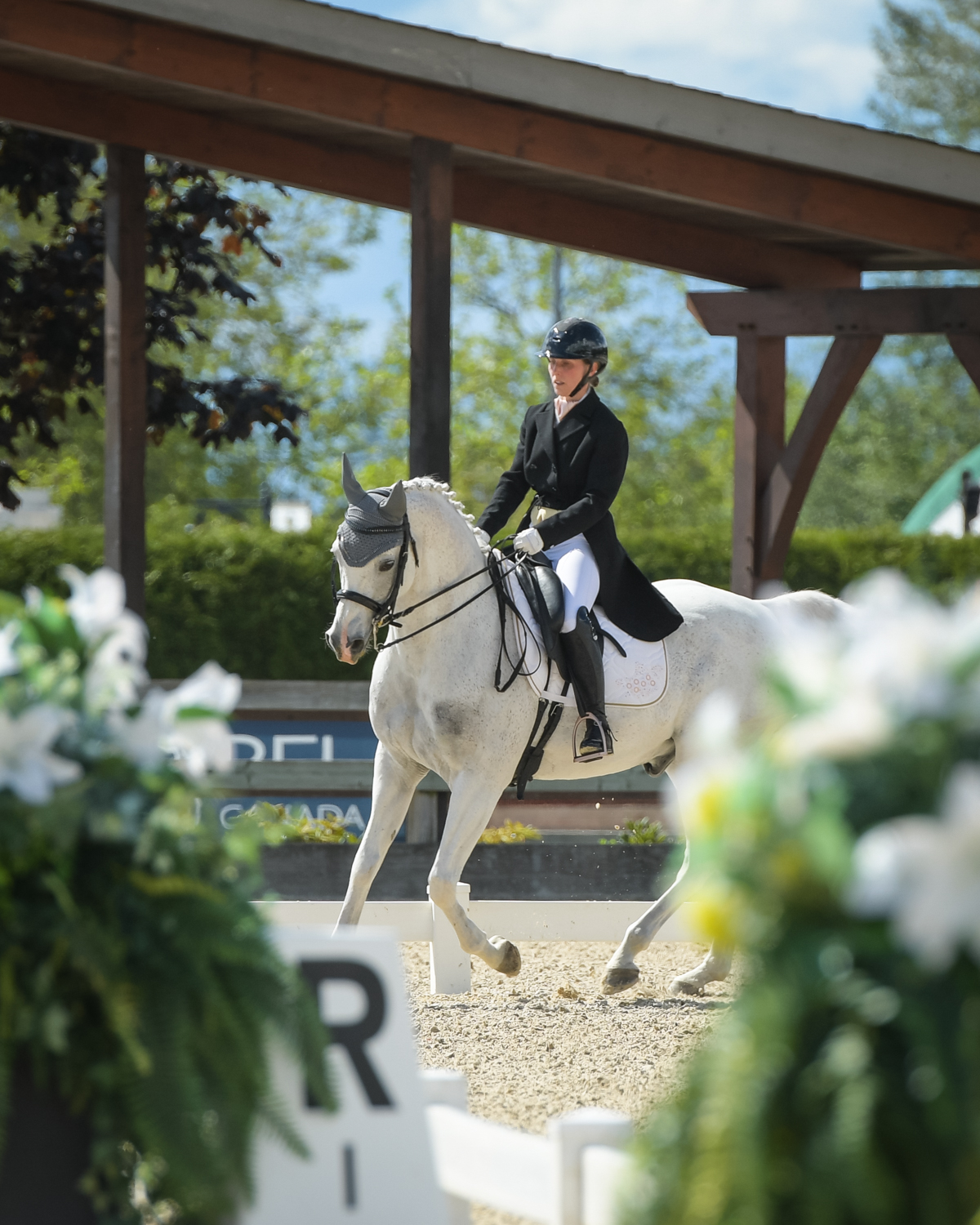 Postponed: Dance in the Vineyard Dressage Festival | 2025 | DSC_2072.jpg