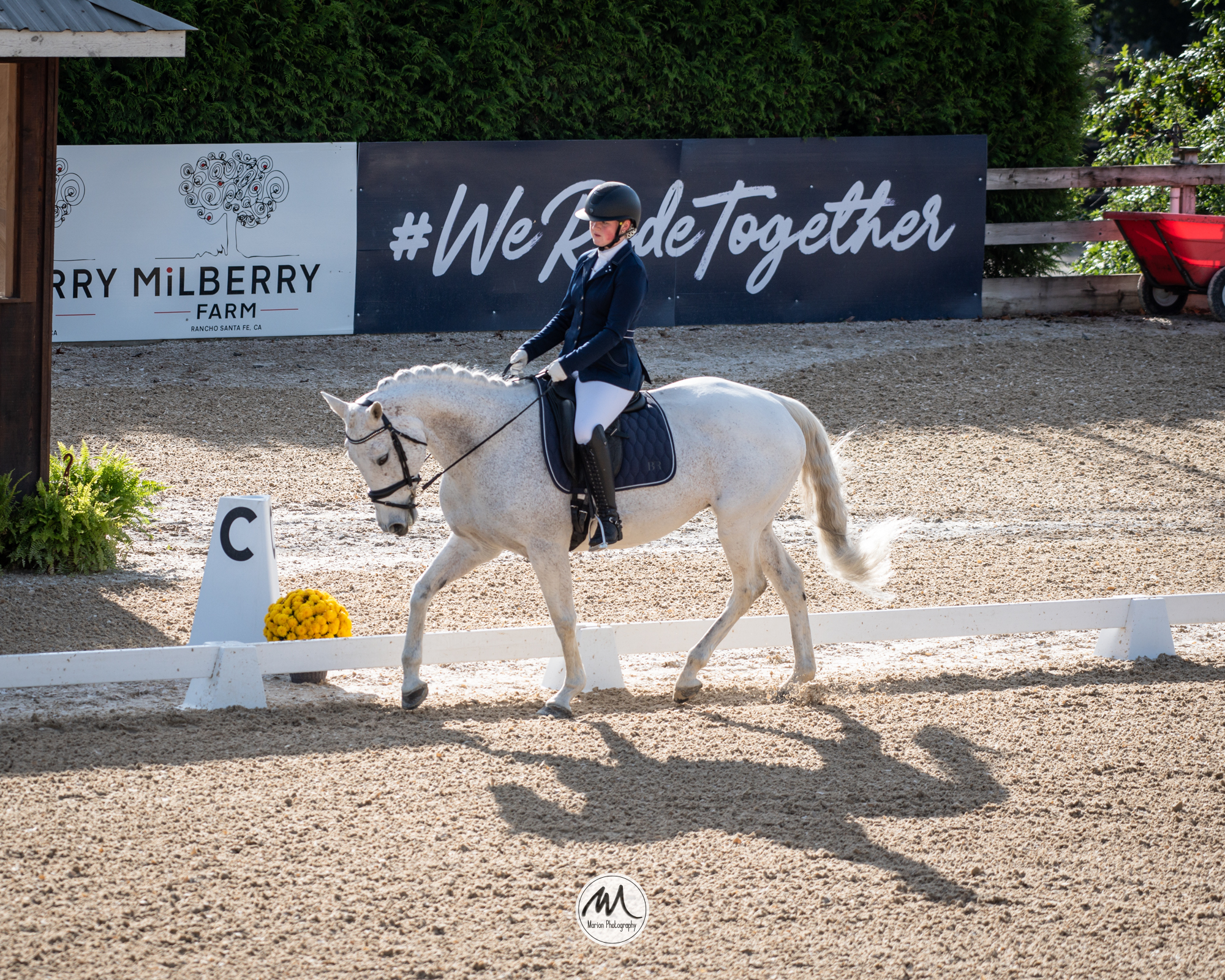 Postponed: Dance in the Vineyard Dressage Festival | 2025 | webDSC_1091.jpg