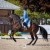 Postponed: Dance in the Vineyard Dressage Festival | 2025 | webDSC_1726.jpg