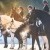 Postponed: Dance in the Vineyard Dressage Festival | 2025 | webDSC_0823.jpg