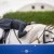Postponed: Dance in the Vineyard Dressage Festival | 2025 | webDSC_9303.jpg