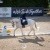 Postponed: Dance in the Vineyard Dressage Festival | 2025 | webDSC_1091.jpg